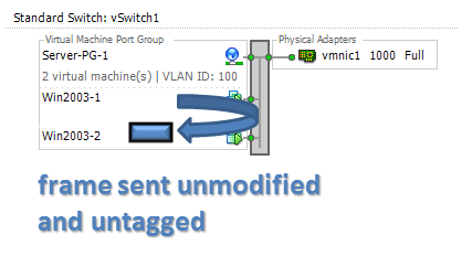 vSwitch VLAN 802.1Q ESXi